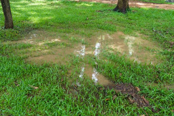Cost of Storm Water Drainage Service in Pottstown