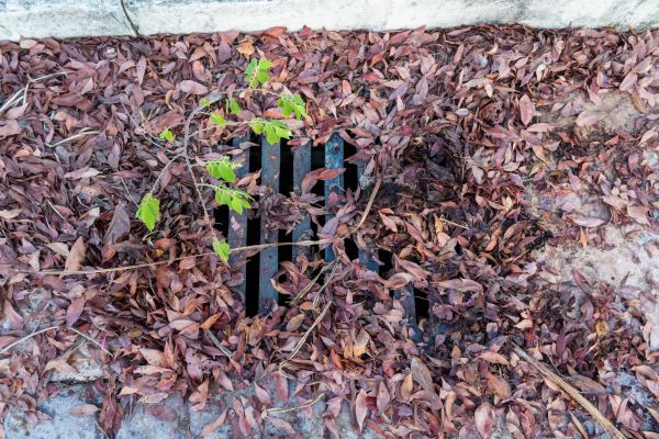 Cost of Yard Drain Unclogging in Pottstown
