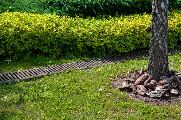 Cost of Residential Landscape Drainage in Pottstown