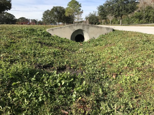 Cost of Swale Drainage Service in Pottstown