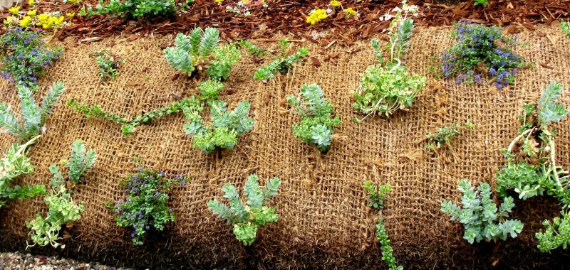 Erosion Prevention Solutions